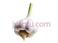 大蒜PNG