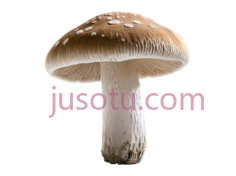 蘑菇, PNG