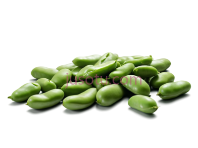 蚕豆, PNG