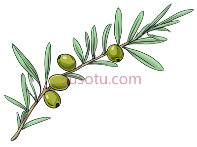 橄榄枝,橄榄, PNG