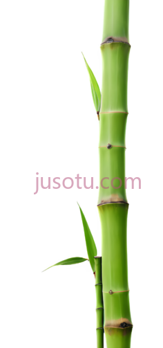 竹子,鲜绿色PNG