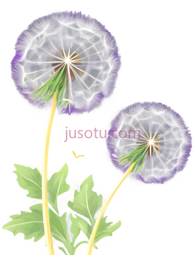 蒲公英,风,紫色, PNG
