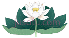 荷花盛开PNG