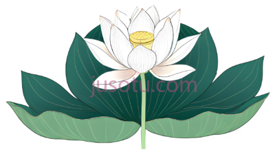 荷花盛开, PNG